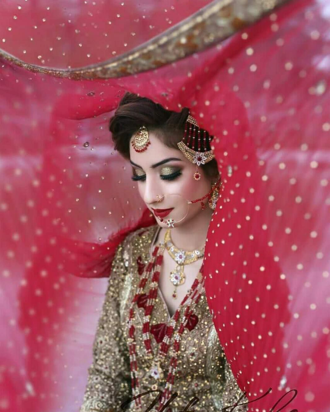 Latest Pakistani Bridal Dresses 2017 (19)
