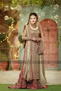 Pakistani Wedding Dress for Engagement 2017